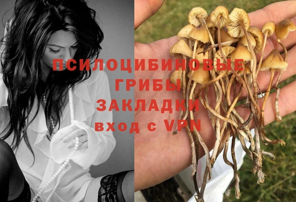 хмурый Верхний Тагил